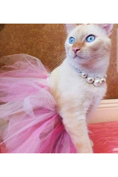 Canbutik Cat Dog Tutu Skirt