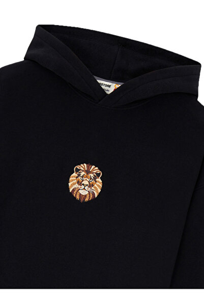 GSStore X Reflect Studio Aslan Hoodie E242400