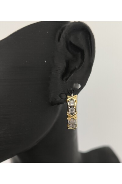 Home أقراط فولاذية مرصعة بالذهب