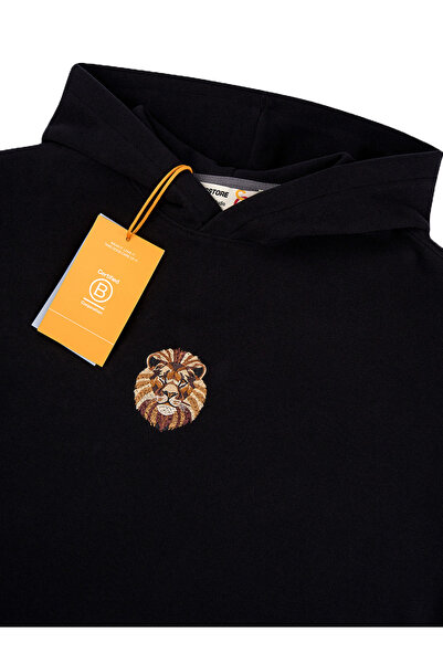 GSStore X Reflect Studio Aslan Hoodie E242400