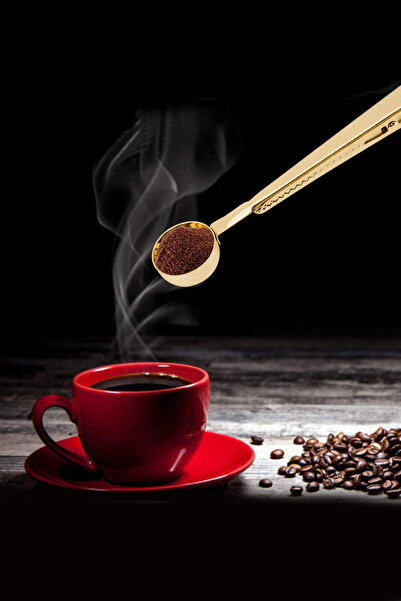 Weather Forecast Gold Steel Coffee Measuring Spoon and Packet Clip Cin108Sr