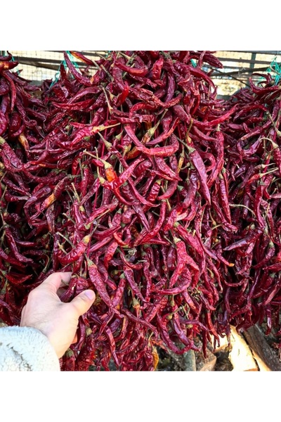 EgedenHerYere Çukurören Acı Cin Biberi Kurutulmuş(150 Yıllık Ata Tohumundan) x 3 Dizi (60 Adet)