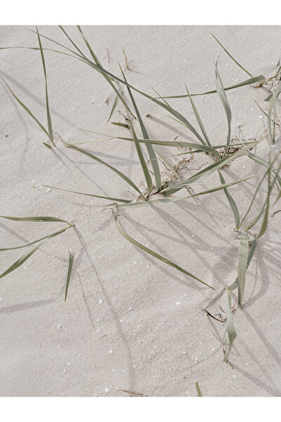 Harikabirev HARİKABİREV|SOFT| KREM TONLAR KUMSAL KOMBİNİ |ÇERÇEVELİ CAM TABLO 3LÜ DİKEY