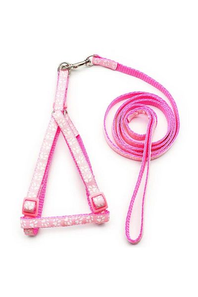 Pet Aksesuar Dog Collar and Leash Set 2Si1, 1.5 cm