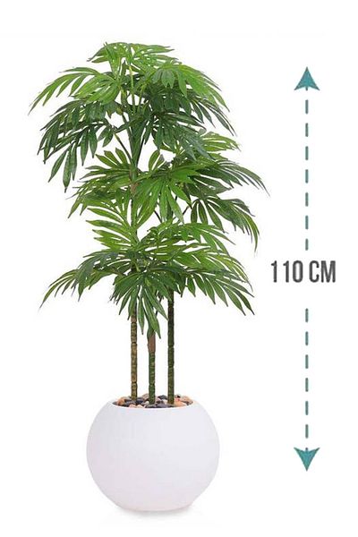 Generic 110 (3)