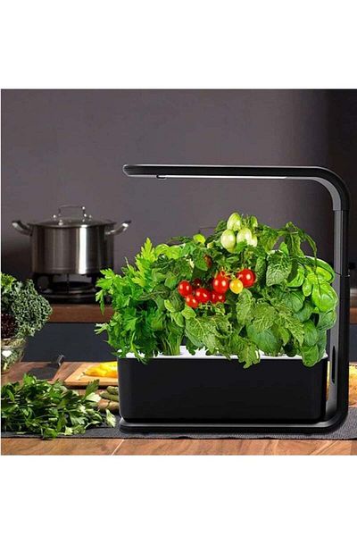 COOYA Vegetable Growing Box, For Growing Organic Plants, Automatic Watering, For Indoor Use, Black Colour