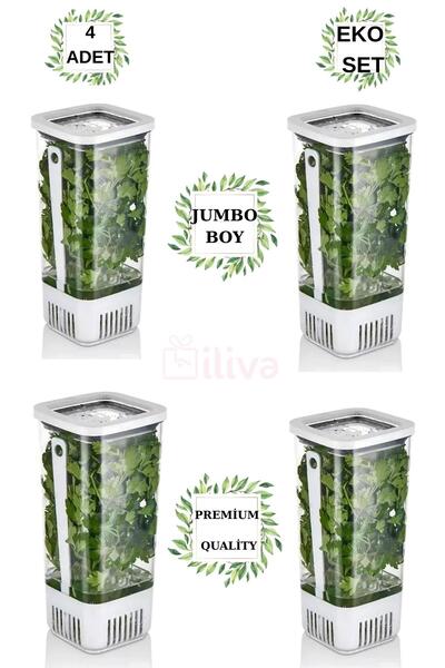 İLİVA 4 Lü Yeşillik Saklama Kabı, Sebze Saklama Kabı, Uzun Ömürlü Tazelik