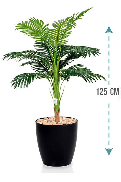 Generic Palm leaf tree in a plastic pot