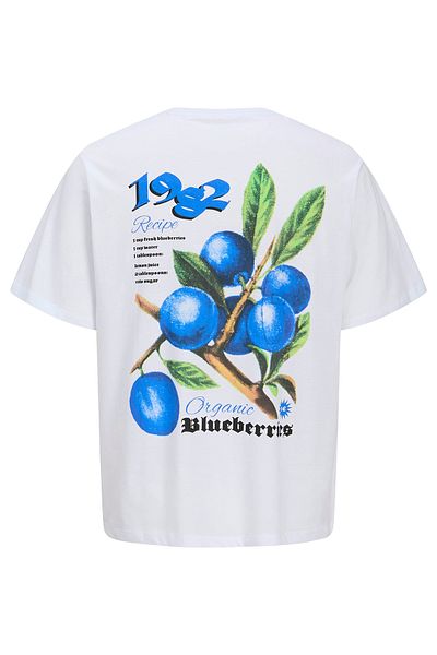Jack & Jones Ανδρικό T-Shirt Jorbradley Berries 12275187