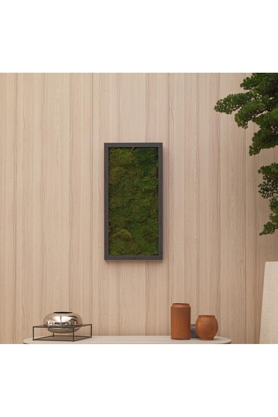 Home Dekoratif Yosun Tablo - Doğal Yosun Çerçeve - Modern Dekor-duvar Dekoru-...
