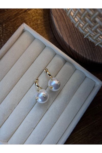 Miltonia Stylish Steel Earrings with Zircon Stone over Pearl