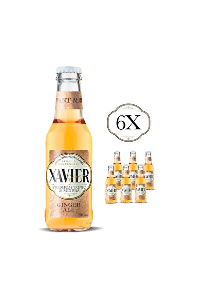 XAVİER Ginger Ale Mixer 200 ML X 6