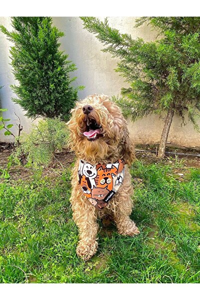 PATİMİO Happy Dogs Kedi Ve Köpek Tasma Fular Bandana
