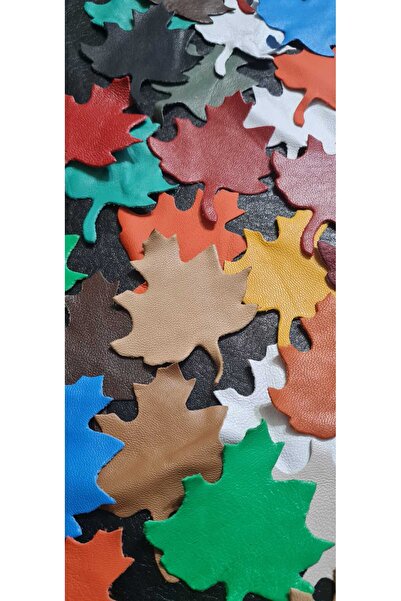 ELİS Hakiki (GERÇEK) Deri Çiçek Aksesuar Renkli Kuzu Derisinden Çınar Yaprak Model 40 Adet