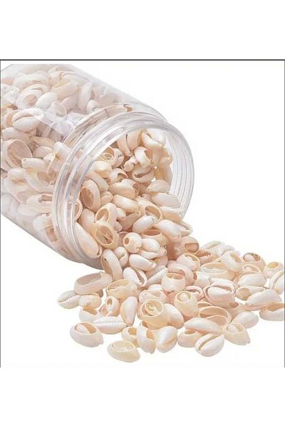 yiğit aksesuar 50 Pcs Top Open Seashell Double Hole