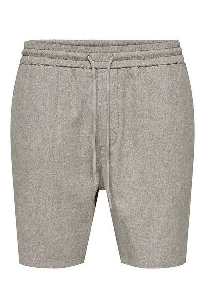 Only & Sons Shorts ONSTEL Normal geschnitten Shorts