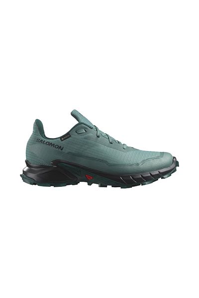 Salomon Мъжки маратонки Alphacross 5 Gtx