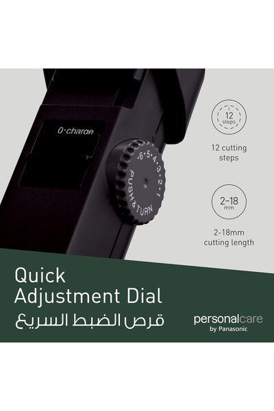 PANASONIC ER2031 Rechargeable Beard & Body Hair Trimmer