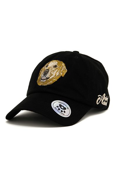 Trampoline Golden Retriever Embroidered Hat - Animal Figured Hat