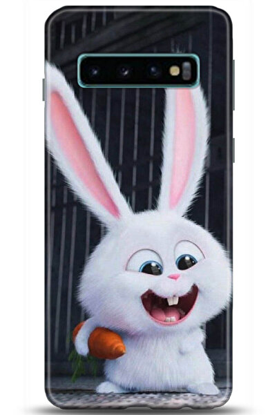 adveksiyon Samsung Galaxy S10 Plus Kılıf HD Baskılı Kılıf - Serenity Series 5048