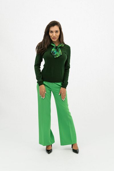 Gorgeaux Green Blouse and Neon Green Pants Set Ina - 3XL(46)