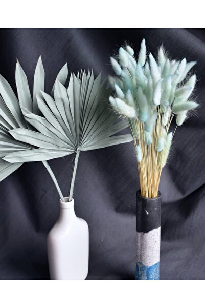 Dxinye buchet pampas uscat, 40 fire, albastru, 40 cm