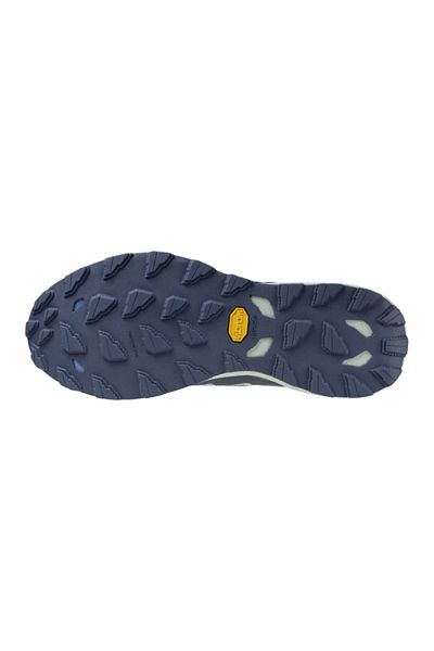 MIZUNO Blue / Gray Wave Daichi 9 Gtx Men's Running Shoes