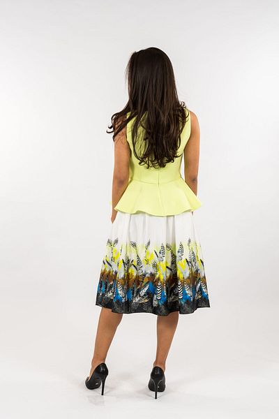 Gorgeaux Lime Top and Casandra Skirt Set - XL(42)
