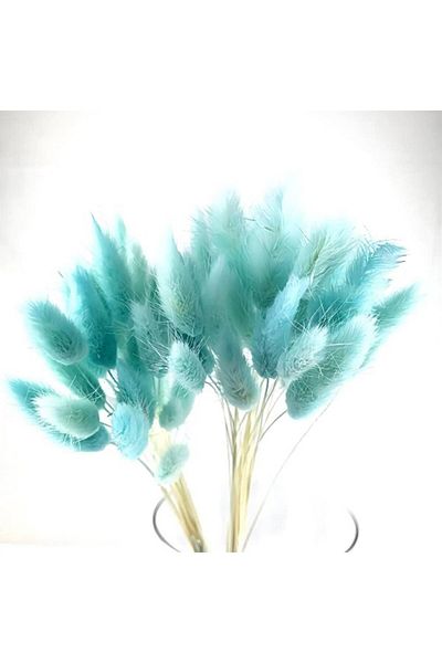 Dxinye Buchet de flori uscate de pampas, 40 de fire, albastre, 40 cm