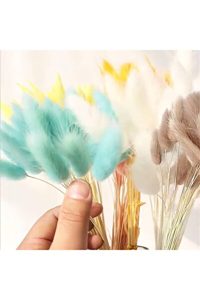 Dxinye buchet pampas uscat, 40 fire, albastru, 40 cm