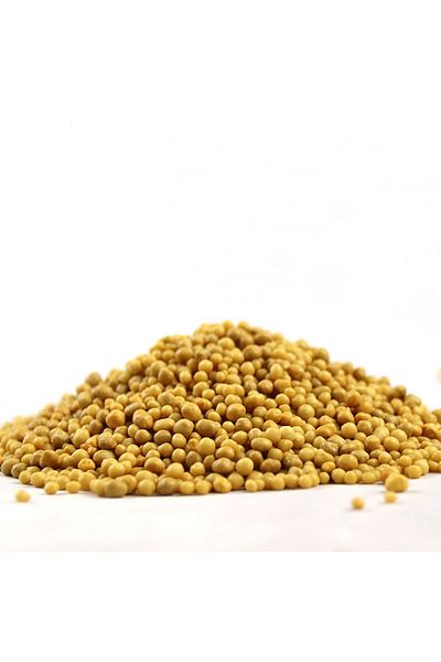 Generic Slow Release Fertilizer 10g 12 Month Plant Food for Indoor & Outdoor Plants, Flowers, Herbs