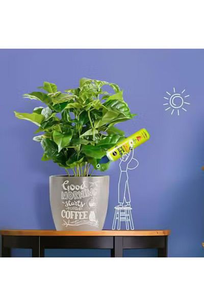 Miracle Universal Plant Fertilizer 120ml Liquid Plant Food for All Indoor & Outdoor Plants, Flowers