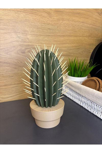 BekAlp Cactus Toothpick Holder