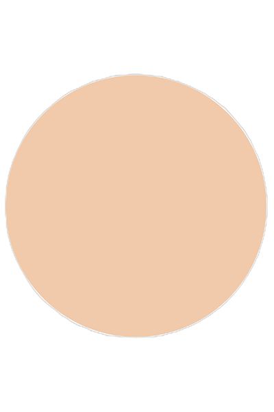 TOPFACE Pudr Compact Skin Editor Matte Finishing - PT263.005