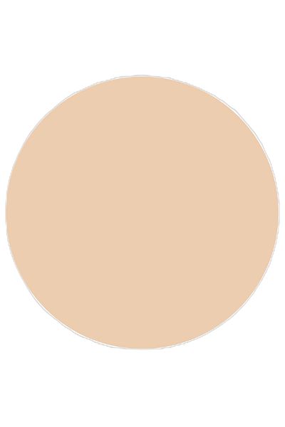 TOPFACE Pudr Compact Skin Editor Matte Finishing - PT263.007