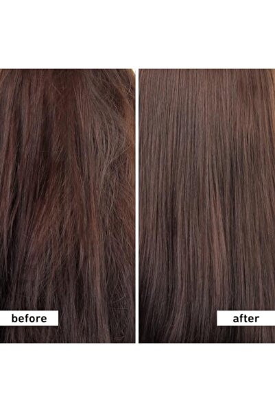 PLUM Coconut Shampoo for Dull Hair with Coconut Milk and Peptides for Strong & Shiny Hair | 250ml