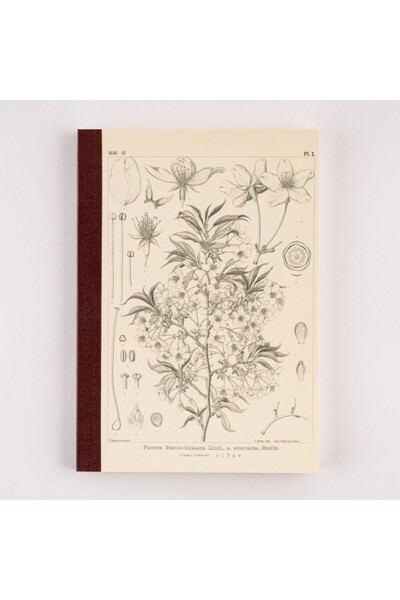 HOBONICHI Yamazakura A5 Kareli Defter