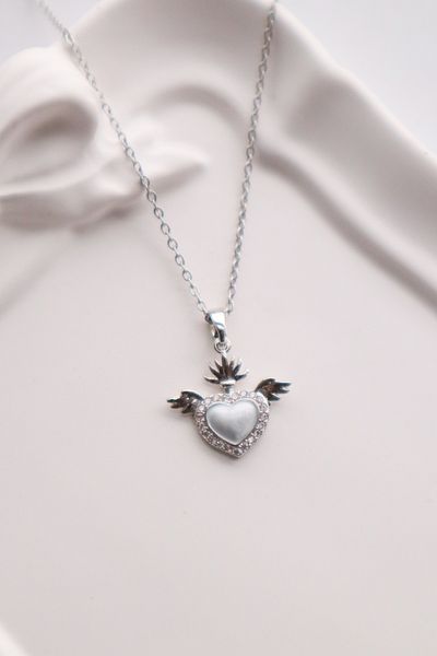 EFBUTİK Stainless Steel Silver Color Zircon Stone Wing Heart Necklace