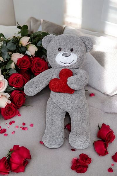 Canestar Plush Teddy Bear with Heart - Very Special Heart Gift Plush Teddy Bear for Lover