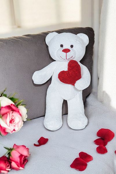 Canestar Plush Teddy Bear with Heart - Very Special Heart Gift Plush Teddy Bear for Lover