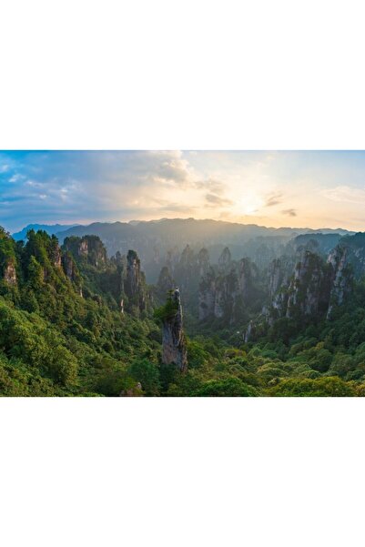 Zumzeria Tablou Canvas Vedere panoramică frumoasă a unui parc național forest...