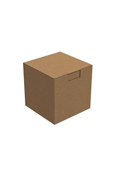 Packanya 15x15x15 - 100 Adet Kilitli E Ticaret Karton Kargo Kutusu