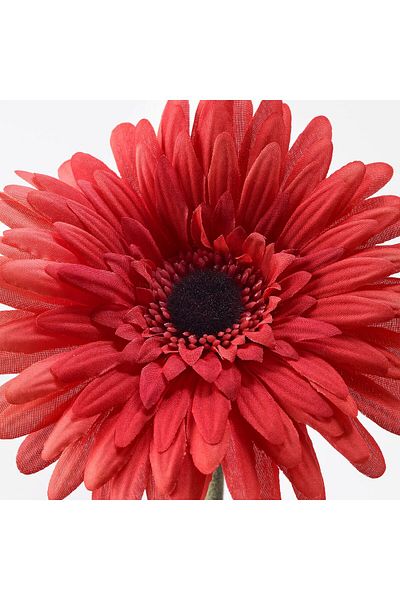 IKEA SMYCKA Artificial flower, Gerbera/red, 50 cm