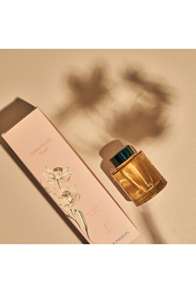 Bella Maison Amberwood Trail Oda Kokusu Sarı (100 ml)