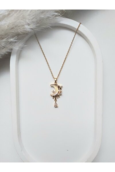 Alexis Carrel Zirkon Taşlı Ay Figürlü Hologramlı Çelik Kolye