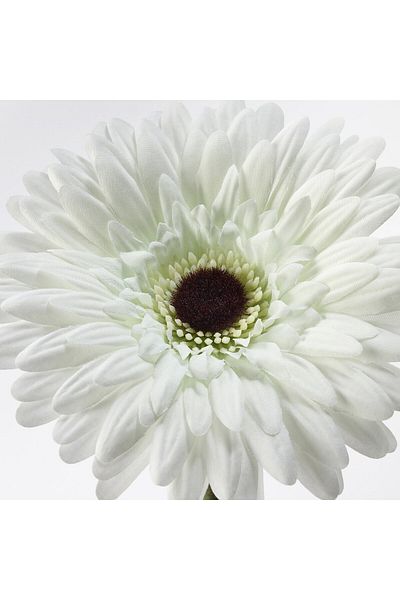 IKEA SMYCKA Artificial Gerbera Flower White 50 cm | IKEA Flexible, Lifelike Decor
