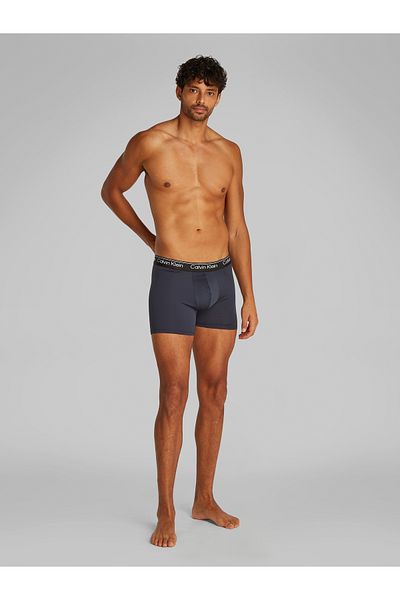Calvin Klein Men Multicolored Pack of 3 Boxer Briefs