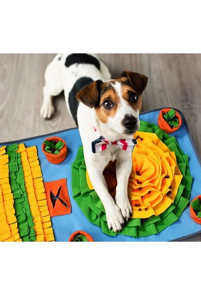 COOYA Pet Foraging Mat,31.5" x 23.6",Slow Down Eating,Develop Intelligence,Polar Fleece Fabric,for Dog,Cat