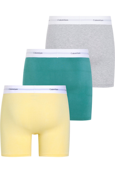 Calvin Klein Men Multicolored Pack of 3 Boxer Briefs