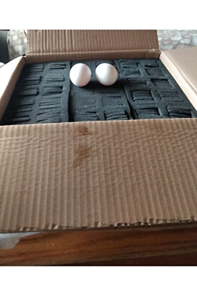 sude hayvancılık 3adet Koli 30lu Boş Yumurta Gönderme Viyolü Boş